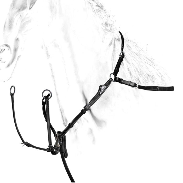 EQUILINE REGULEERITAV MARTINGAL MUST